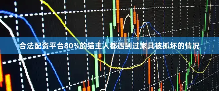合法配资平台80%的猫主人都遇到过家具被抓坏的情况