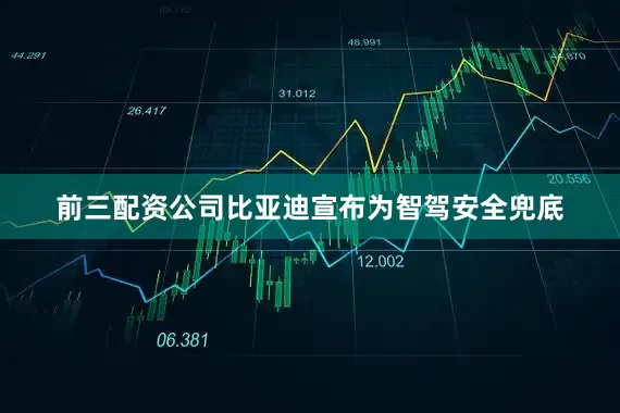 前三配资公司比亚迪宣布为智驾安全兜底